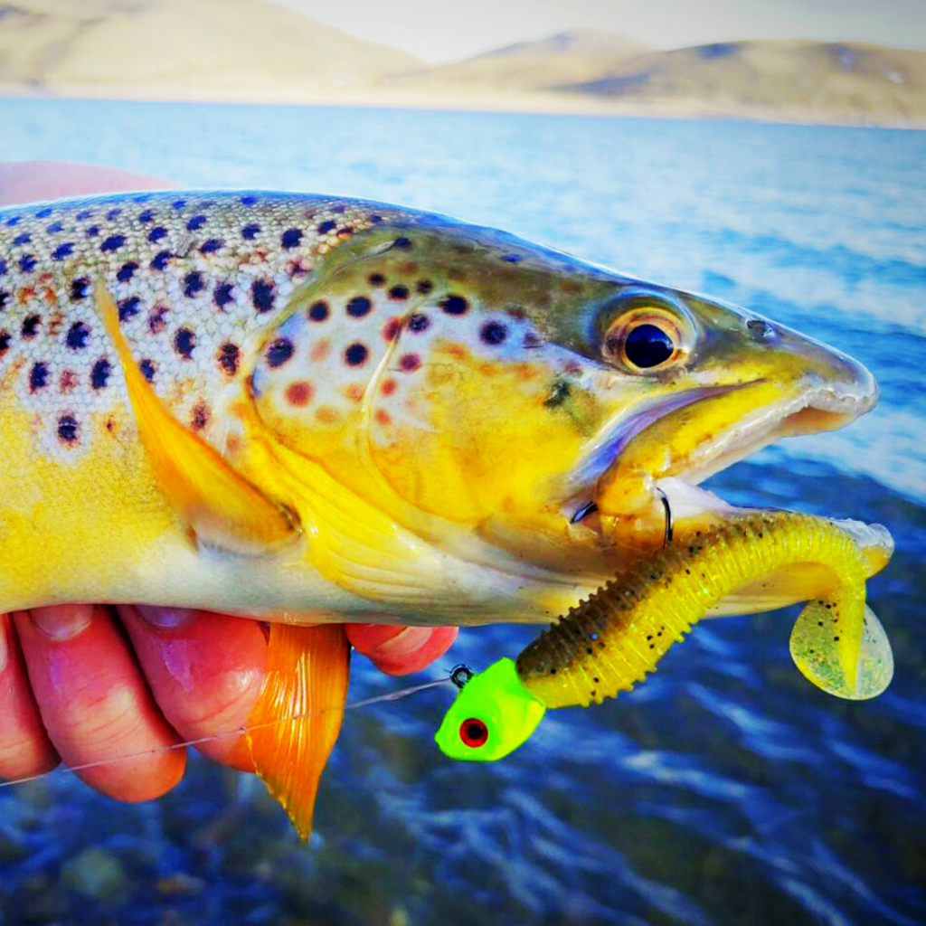 GSO Fishing Guided Trips