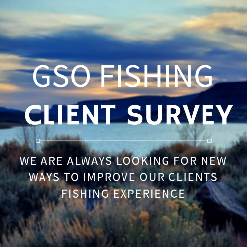 GSO Fishing - Client Survey