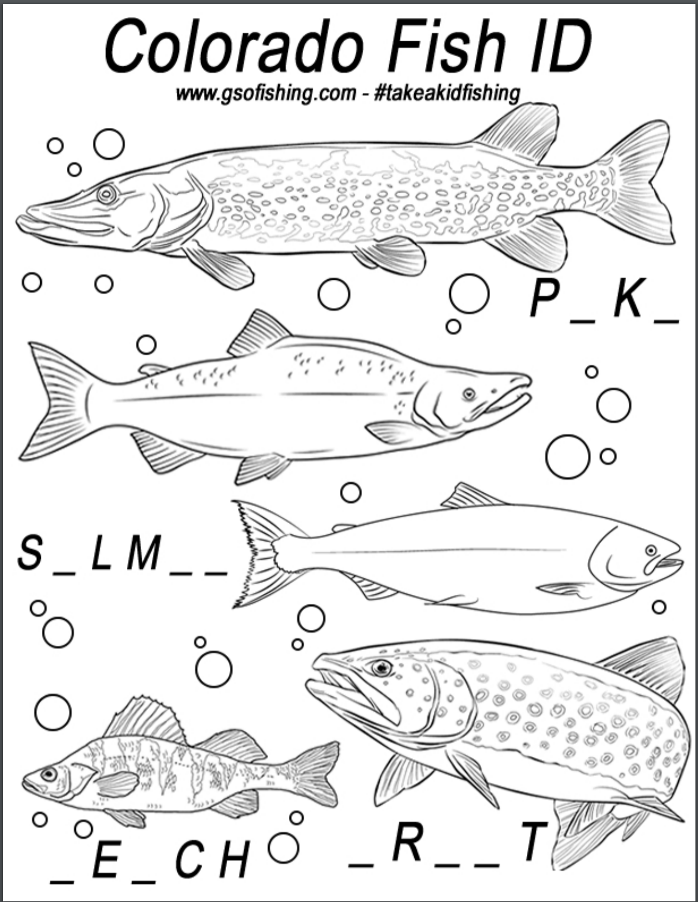 GSO Fishing - Premium Guided Trips & Lures - Colorado Fish ID Coloring Sheet