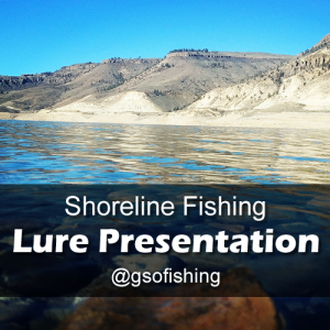 Lure Presentation: Showing the sunny shoreline of Blue Mesa Reservoir in the fall. 