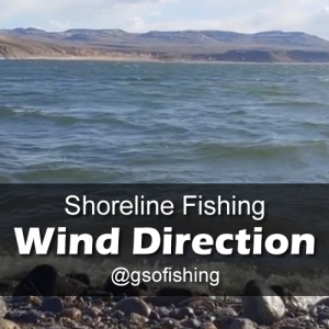 Wind Direction: Windy water surface of Blue Mesa Reservoir in the Spring.