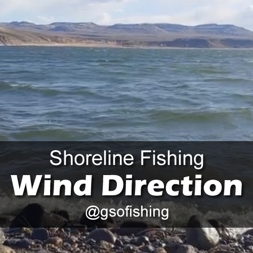 GSO Fishing - Shoreline Fishing - Wind Direction - Waves On A Lake