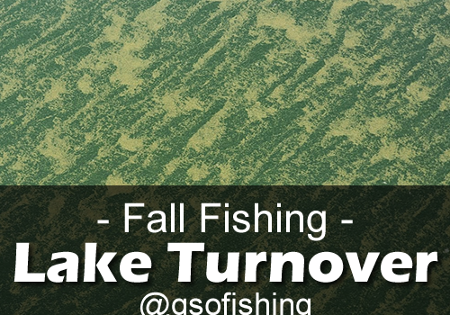 Lake Turnover - Fall Fishing - GSO Fishing - Algea and Pollen Buildup On Water