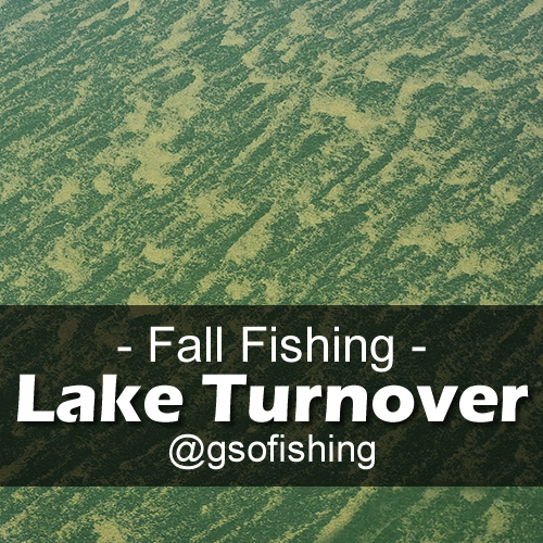 Lake Turnover - Fall Fishing - GSO Fishing - Algea and Pollen Buildup On Water