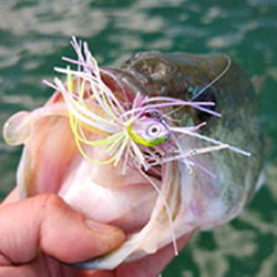 GSO Finesse Jig - Swim Jigs - GSO Fishing - Premium Guided Trips