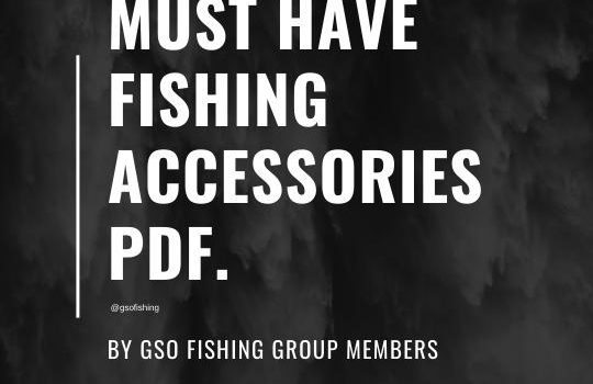 Must Have Fishing Accessories Cover Image