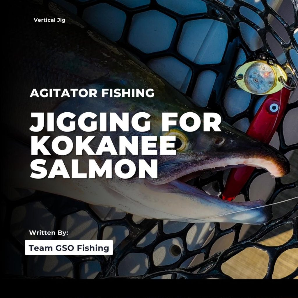 Jigging For Kokanee Salmon - GSO Fishing
