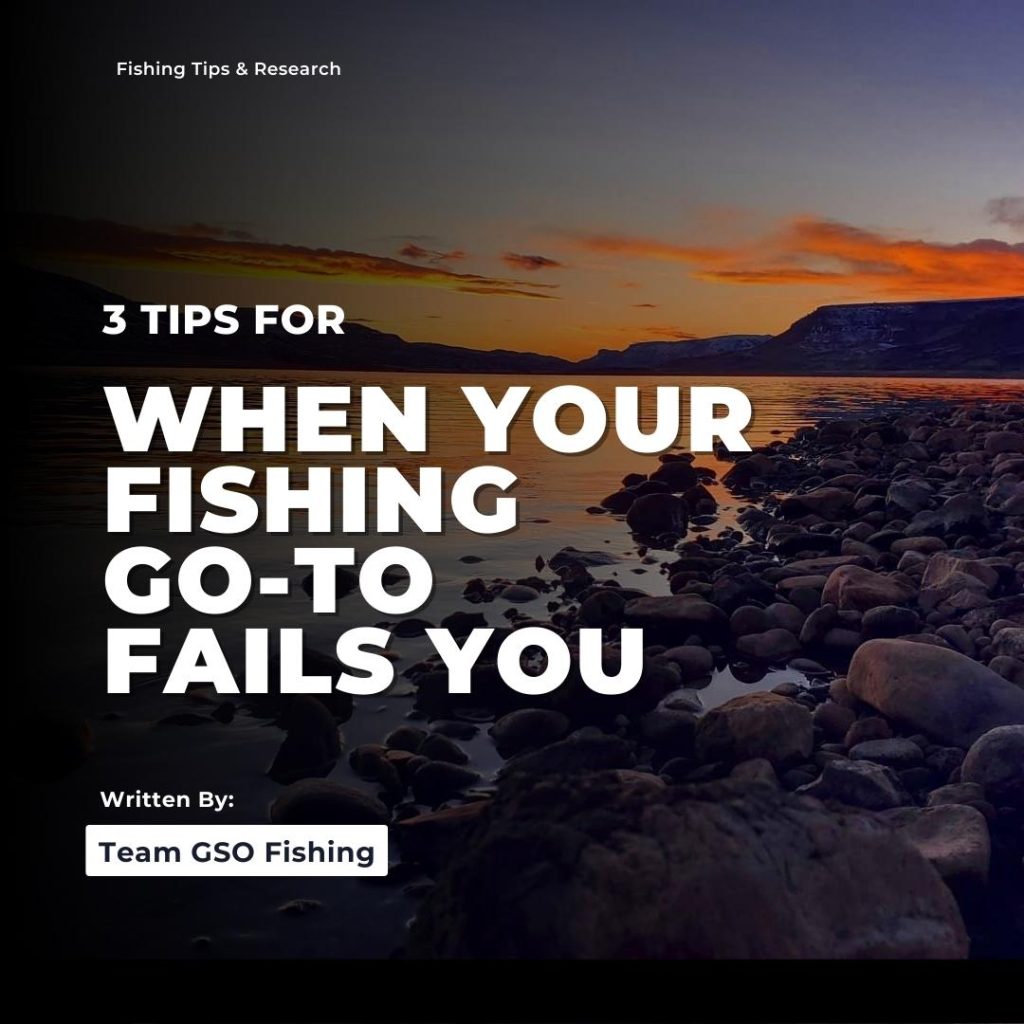 3 Things You Should Know Before You Go Fishing