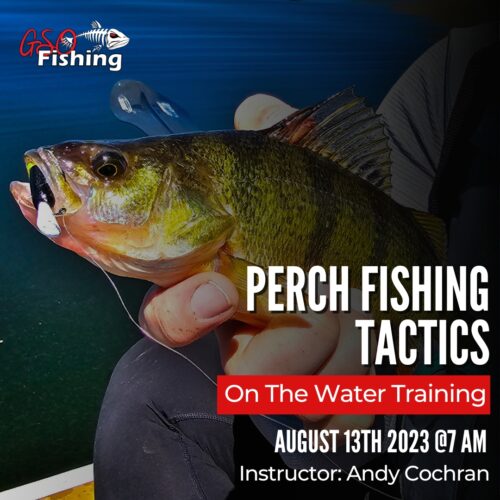 Perch Fishing Tactics On The Water Training - GSO Fishing