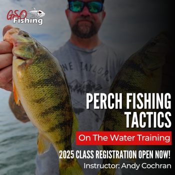 Perch Tactics On The Water Training - GSO Fishing