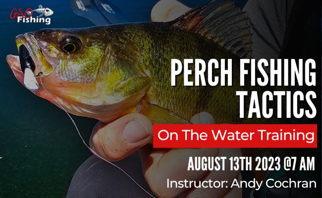 On The Water Perch Tactics - GSO Fishing Website