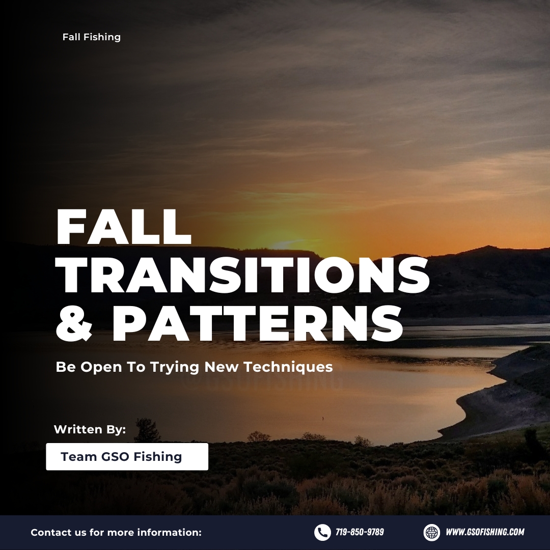 Fall Transitions & Patterns - Freshwter Fishing