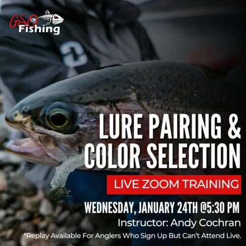 Lure Pairing And Color Selection Live Zoom Training - GSO Fishing