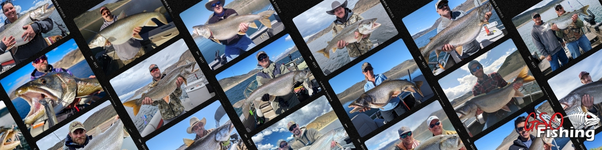 Lake Trout Fishing - GSO Fishing Guided Lake Trout Fishing Trips